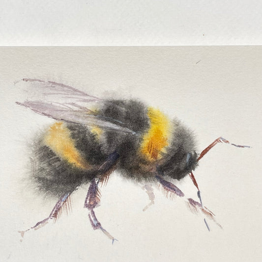 Small Bumblebee