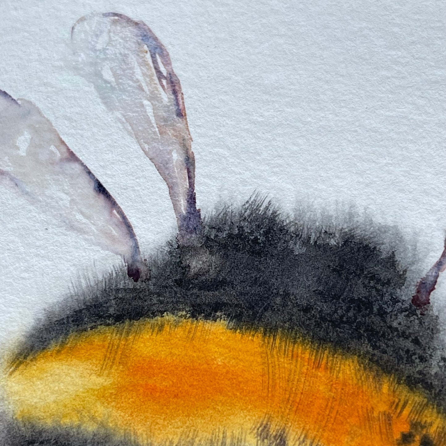 Fluffy Bumblebee