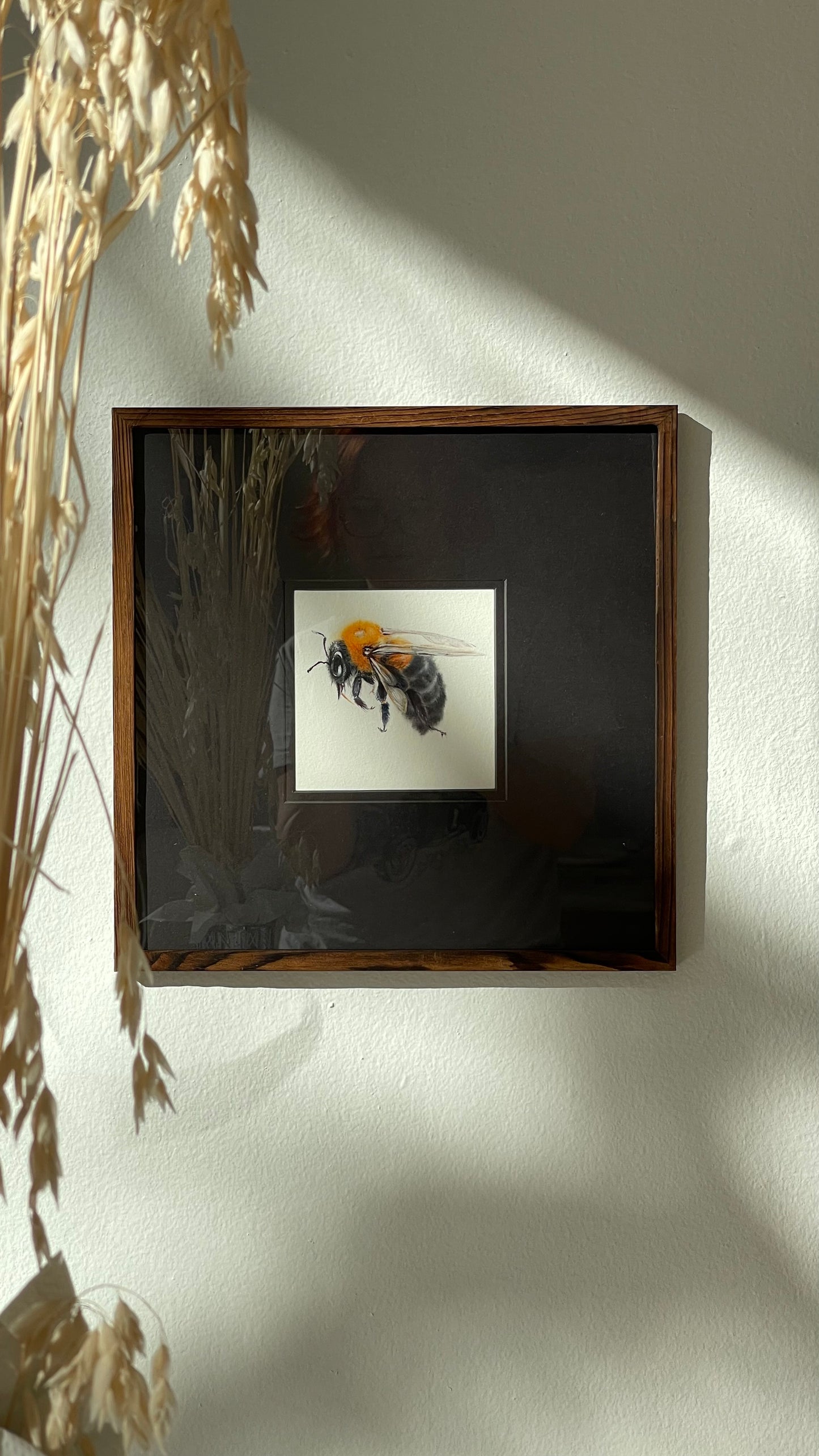 Clever Carpenter Bee