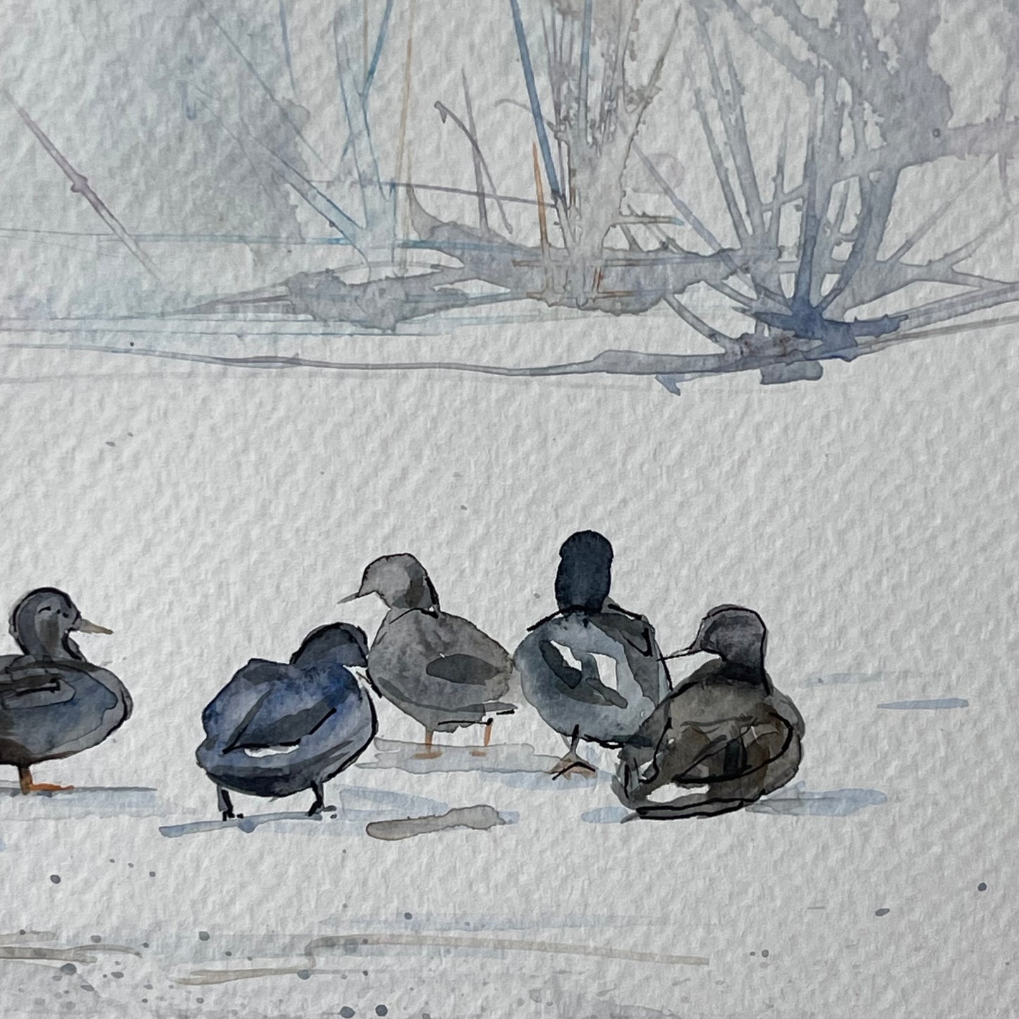 Ducks on a Snowy Field