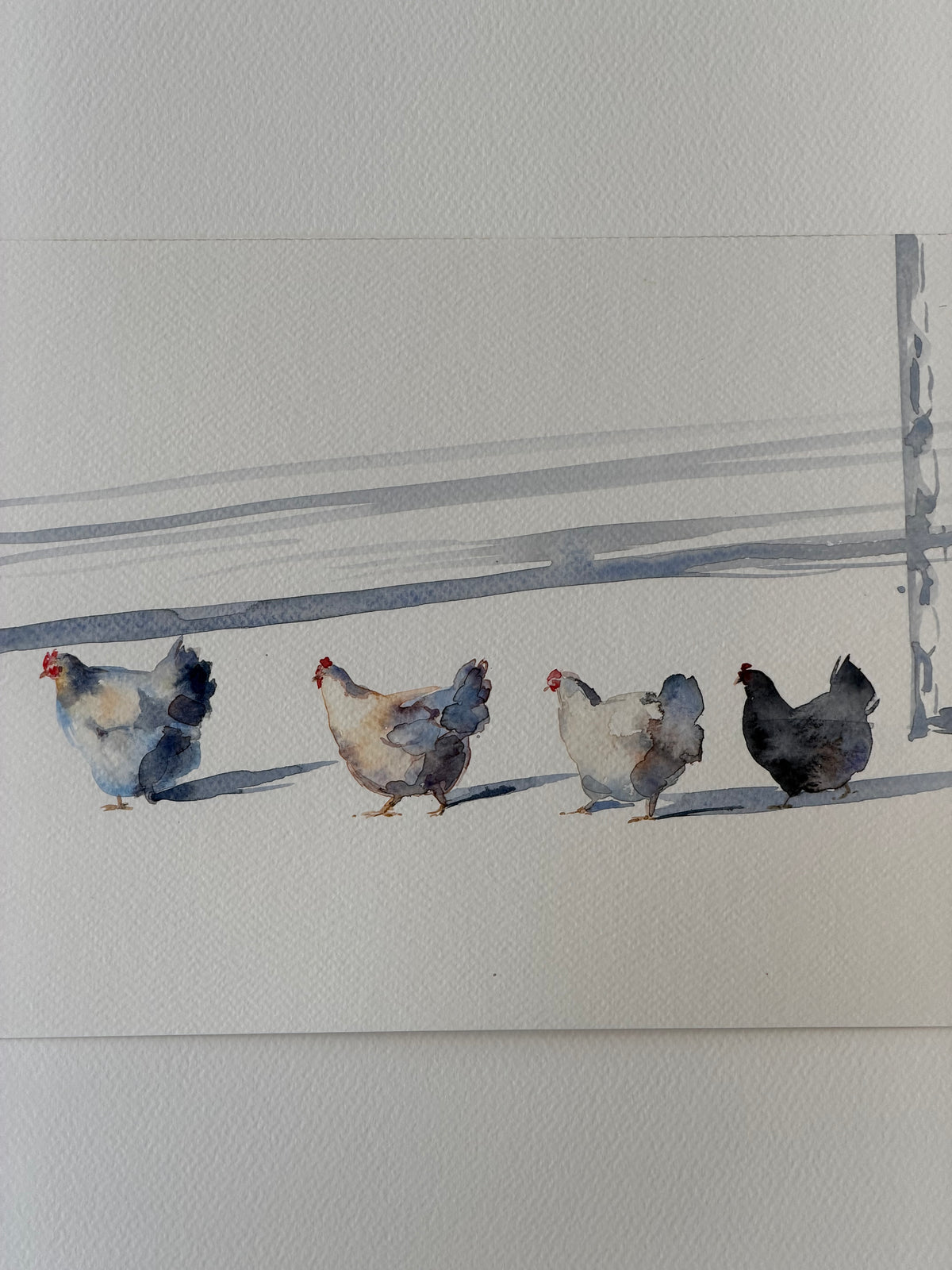 Hens in the Snow