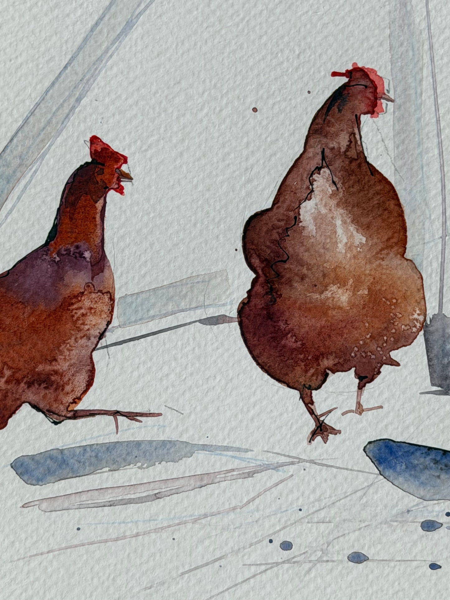 Red hens