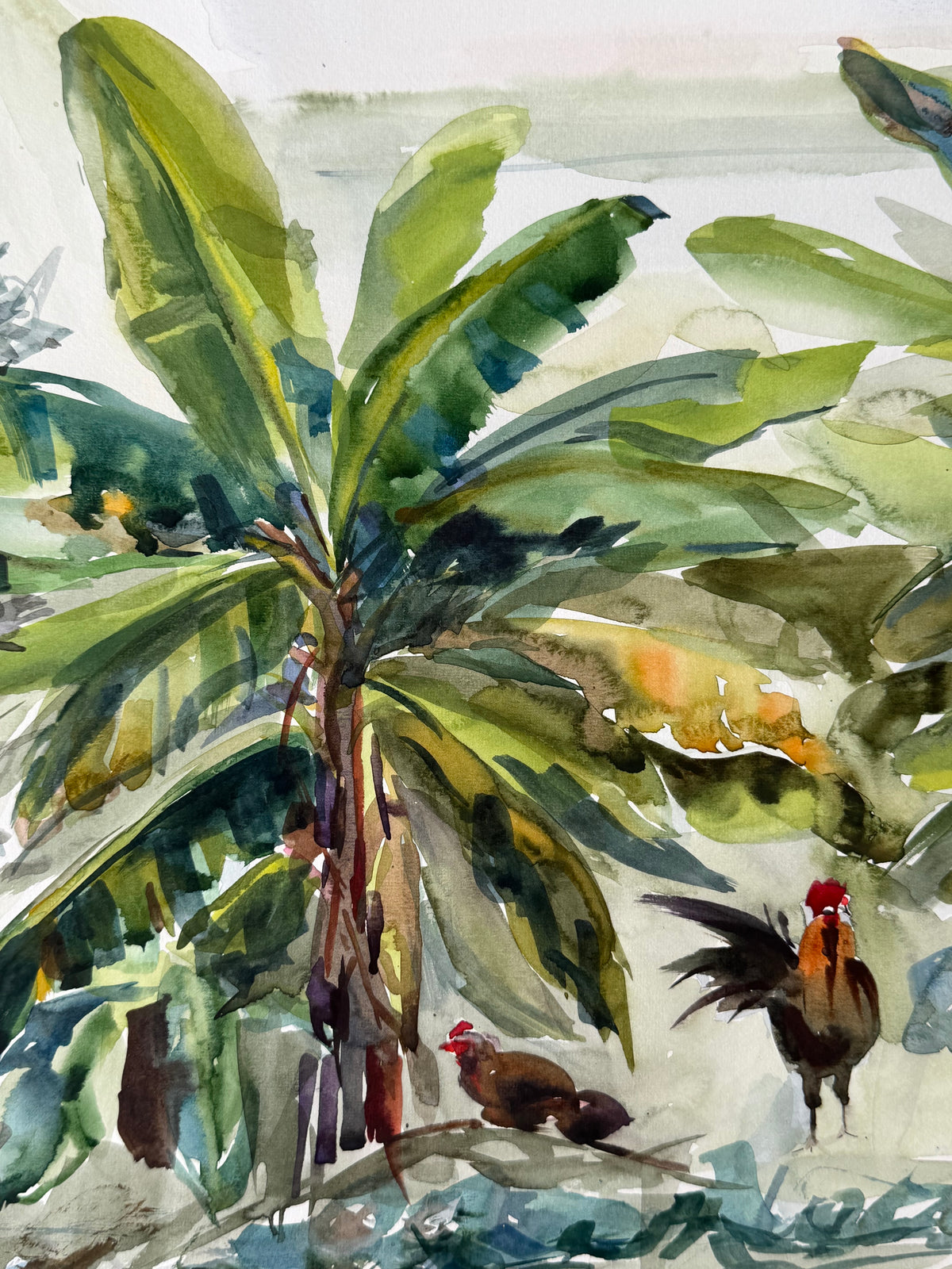 The Dominican Chickens