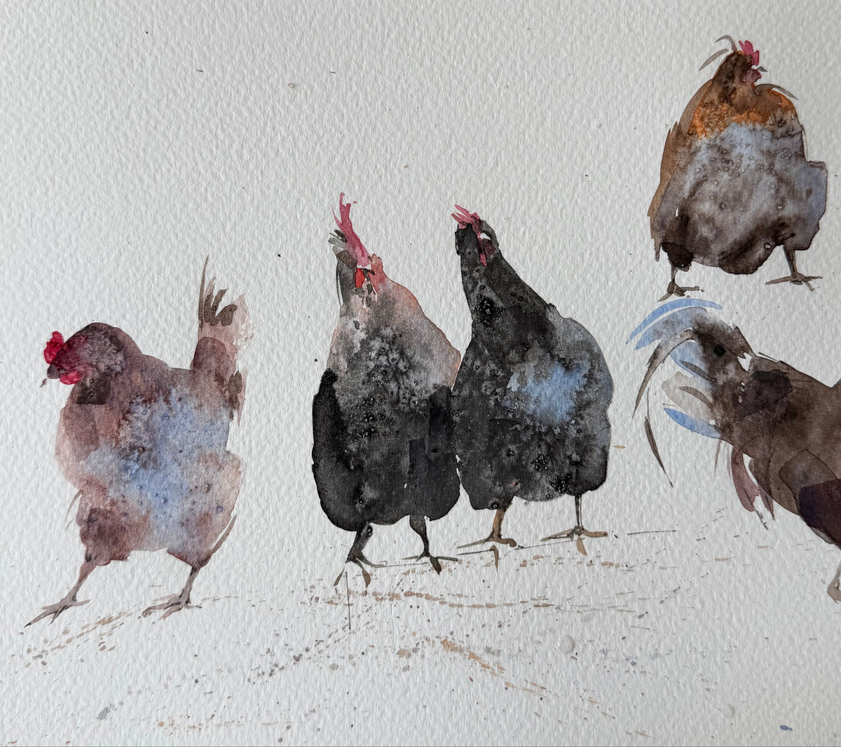 Chickens with Character