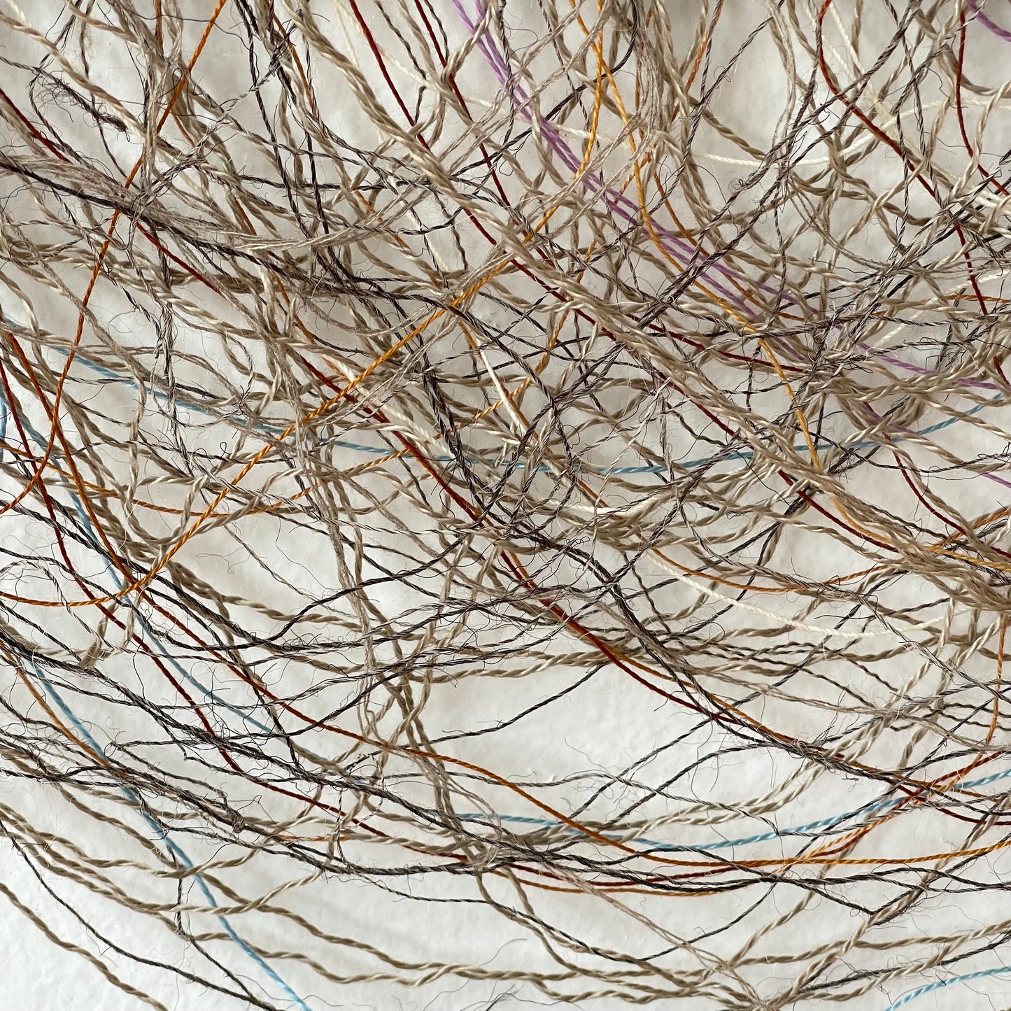 Flight Toward a Dream