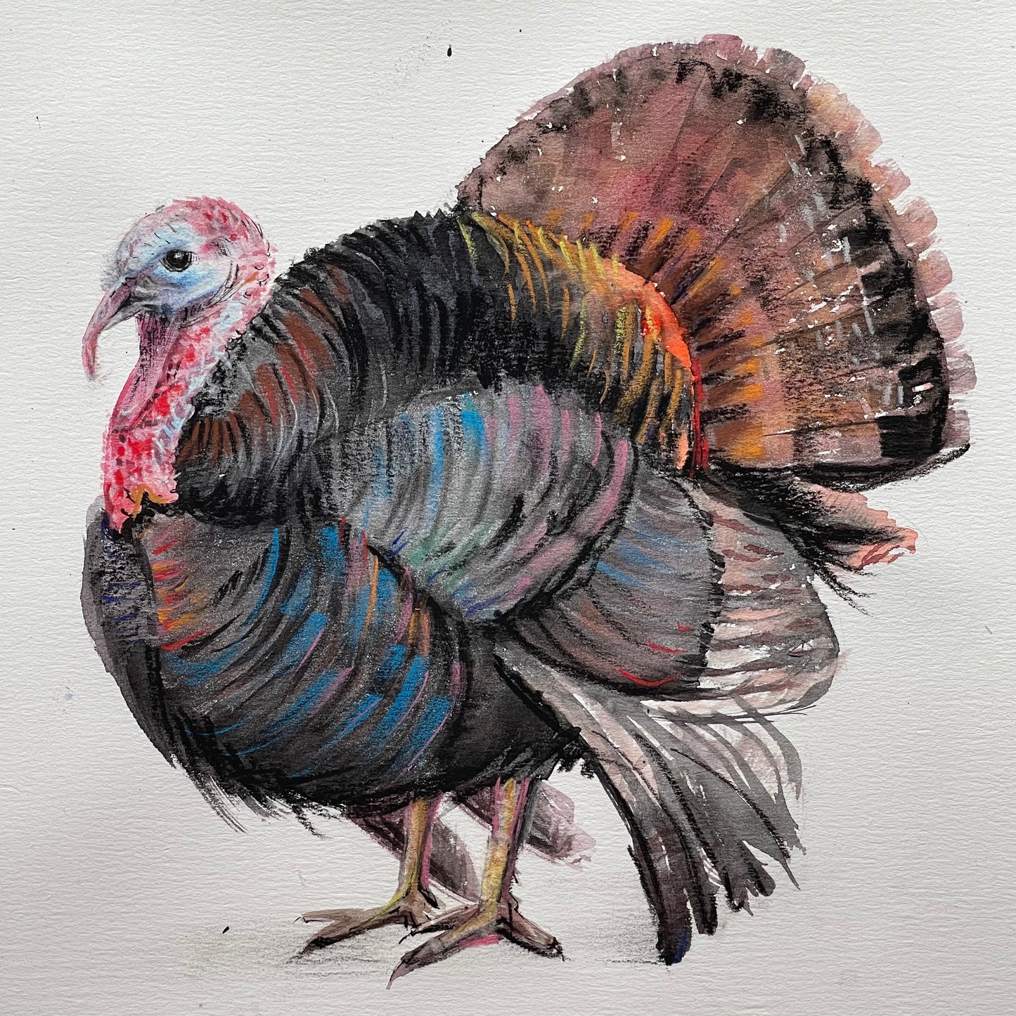 Turkey