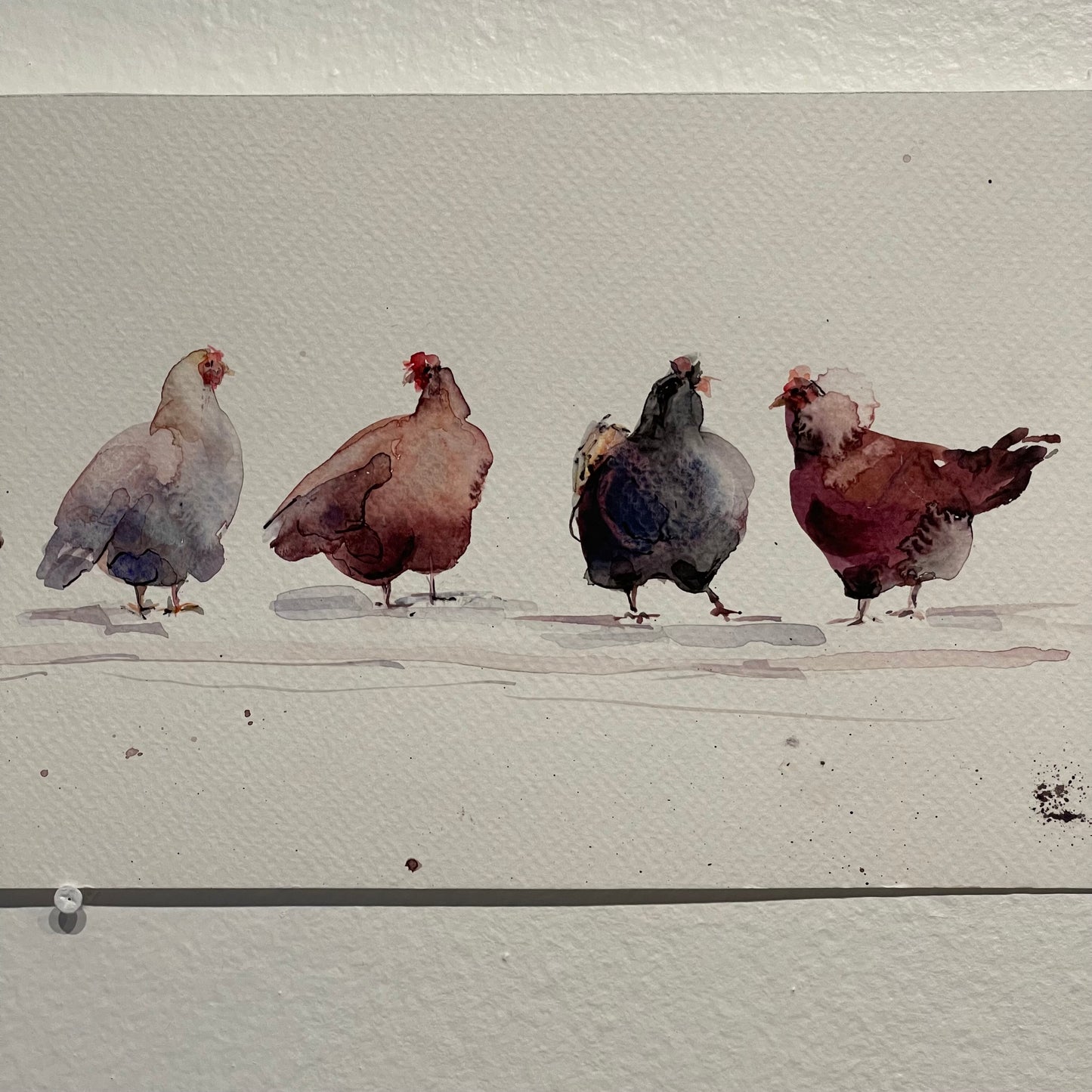Rainbow Flock of Eight Hens
