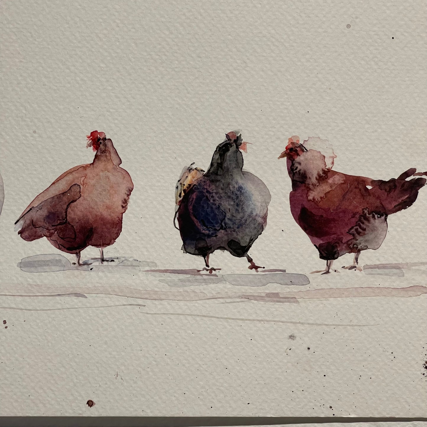 Rainbow Flock of Eight Hens