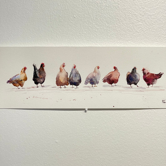 Rainbow Flock of Eight Hens