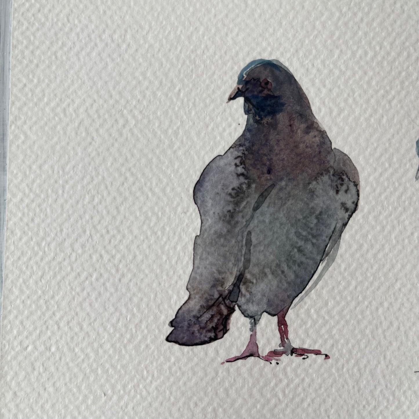 Urban Doves