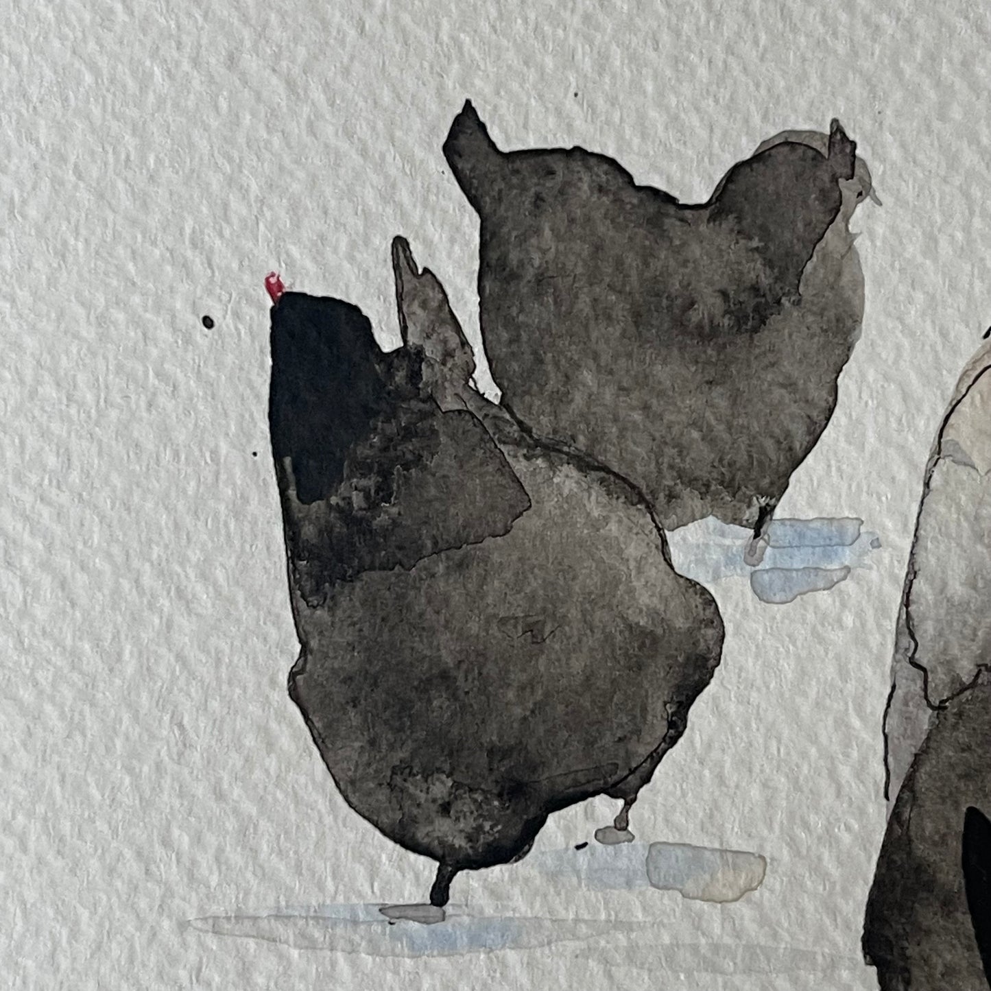 Chickens in the Snow