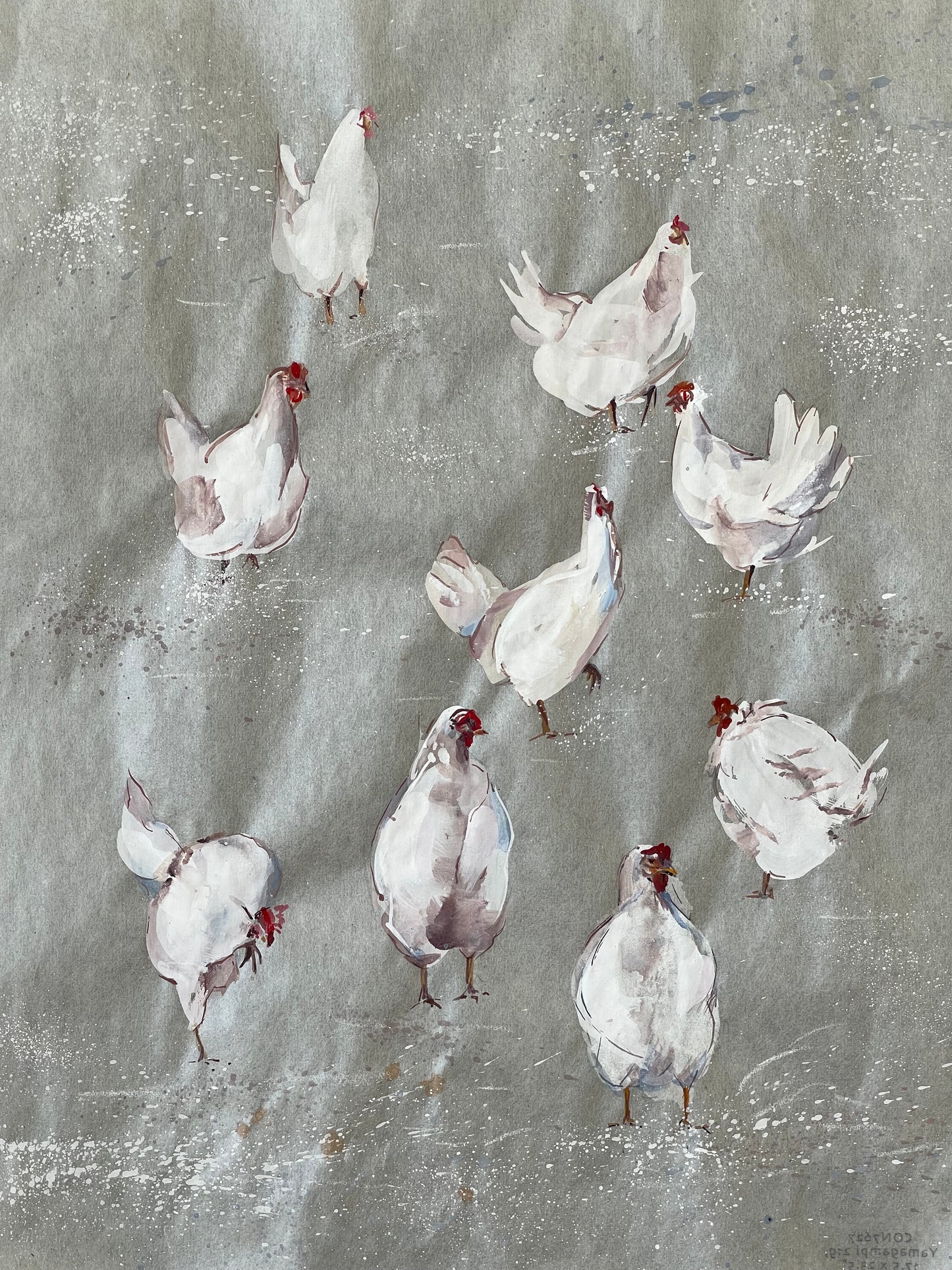 White Hens, White on White