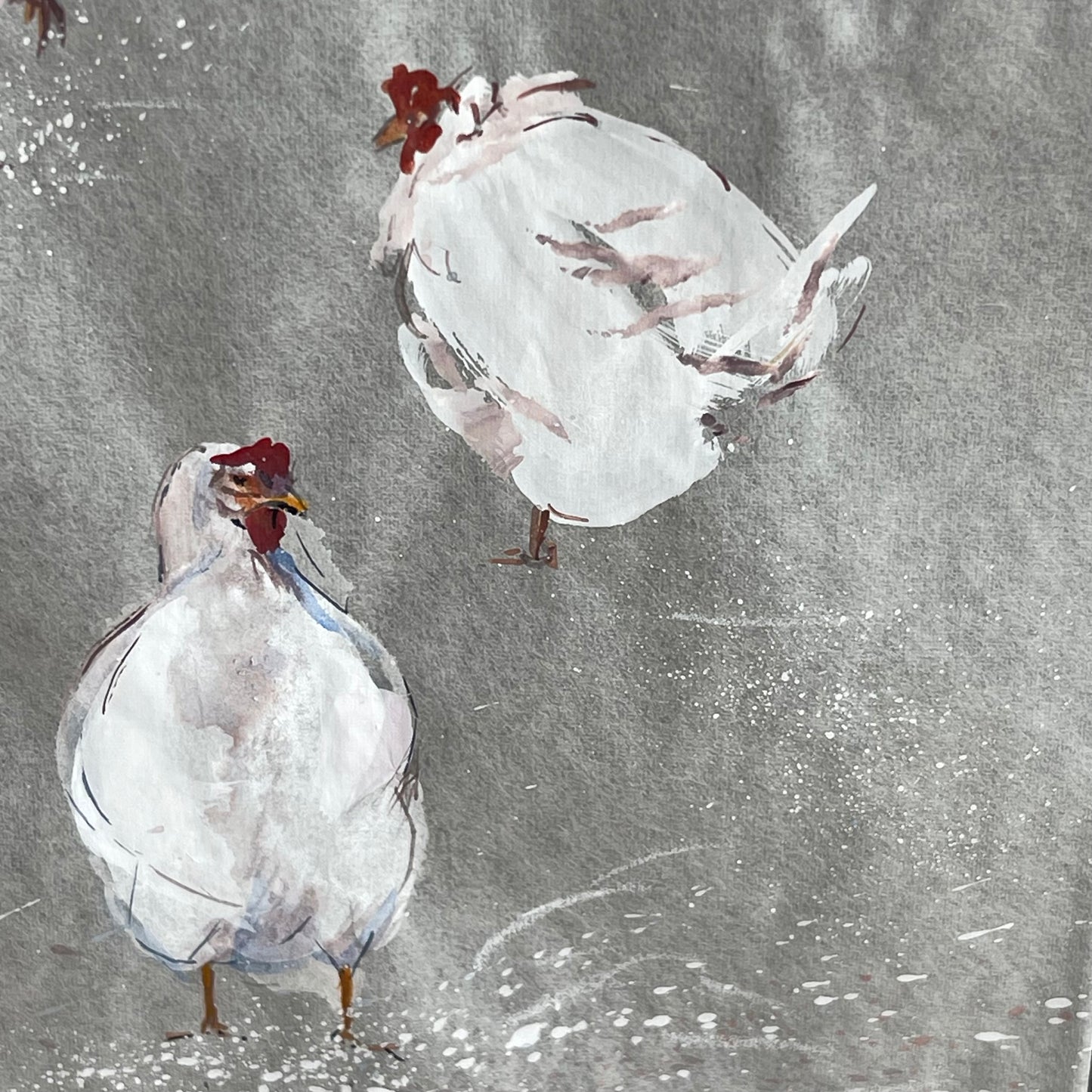 White Hens, White on White