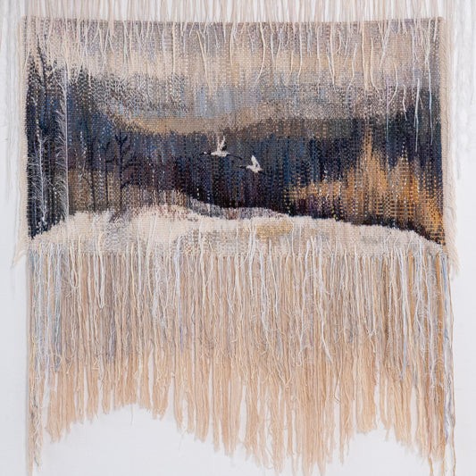 Panorama of My Orchard in Kovalivka Village.