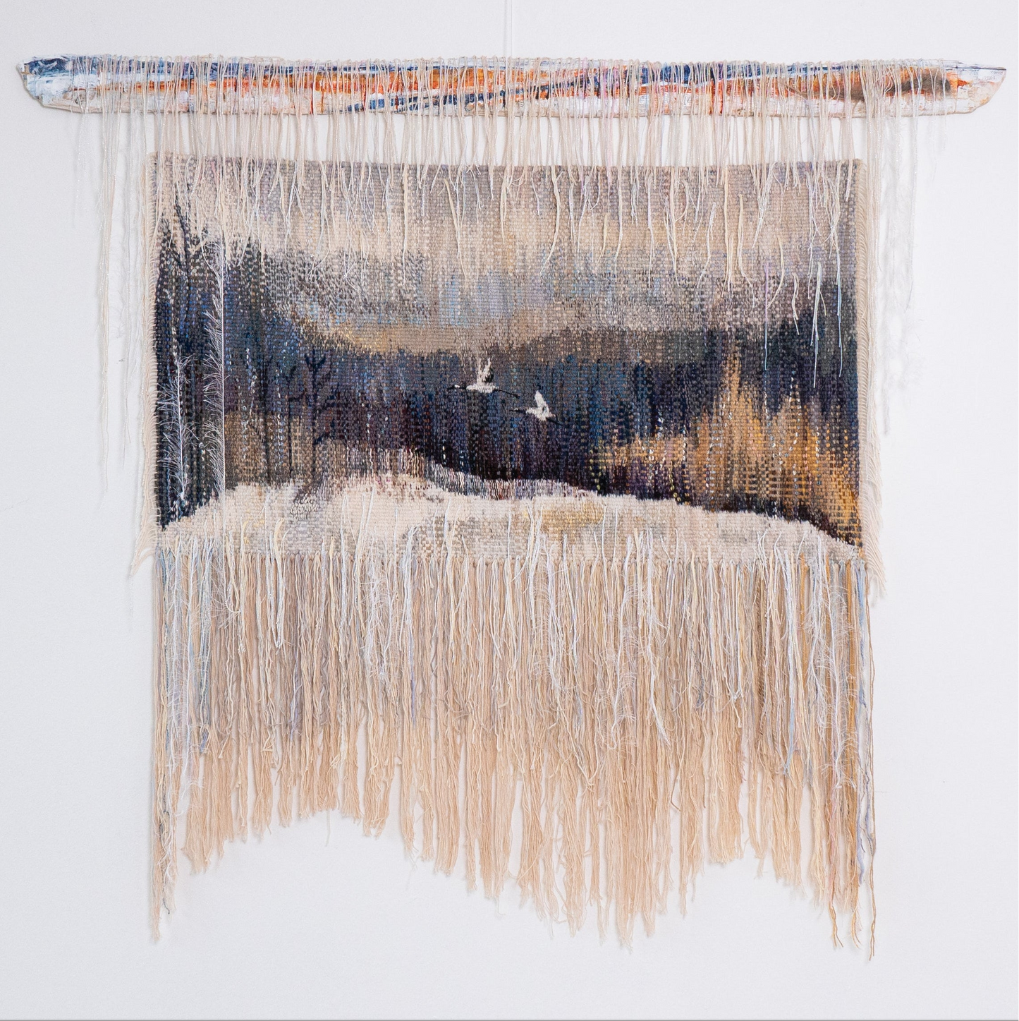 Panorama of My Orchard in Kovalivka Village.