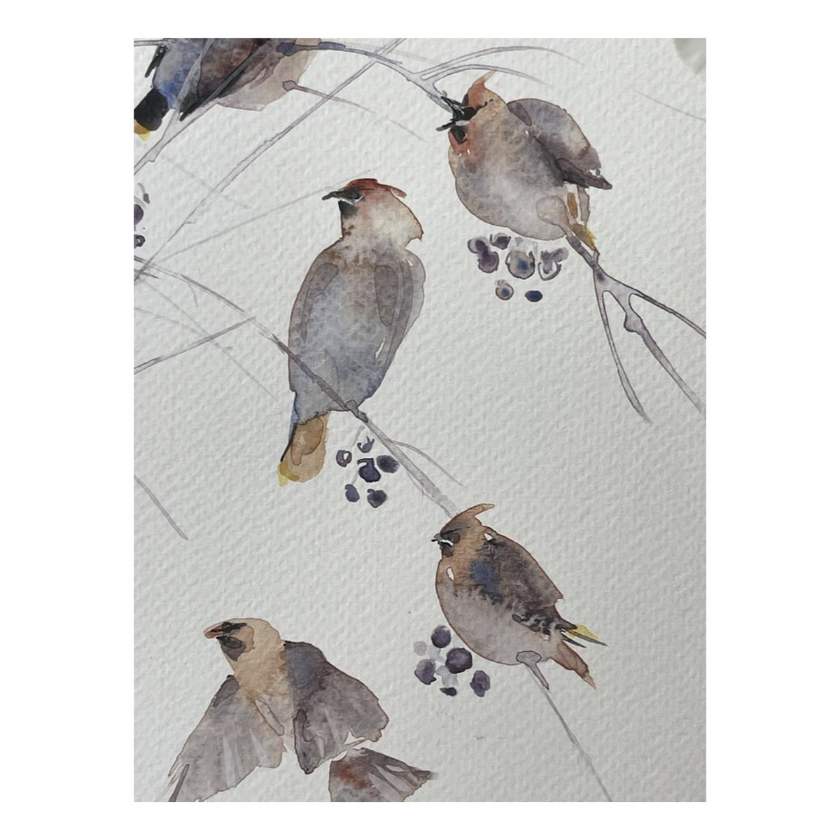 Waxwing Flock Painting