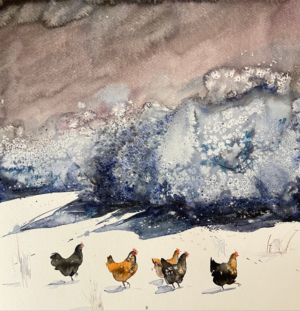 Chickens in Winter Light