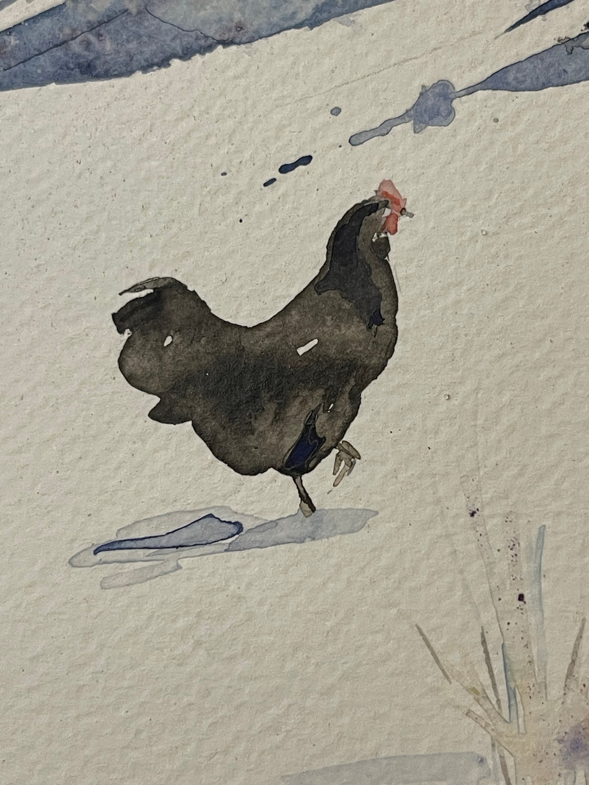 Chickens in Winter Light