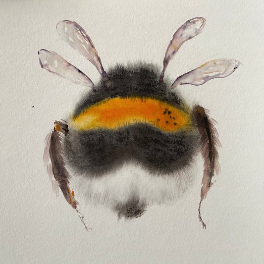 Fluffy Bumblebee