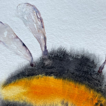 Fluffy Bumblebee