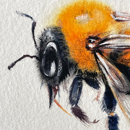 Clever Carpenter Bee