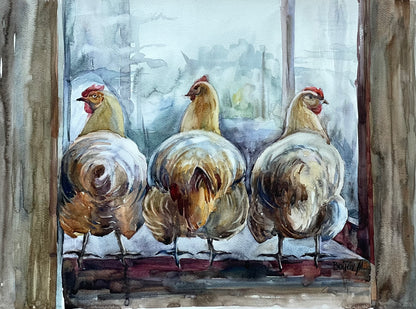 Chickens. Three friends.