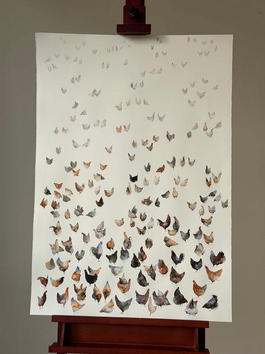 Many colourful chickens