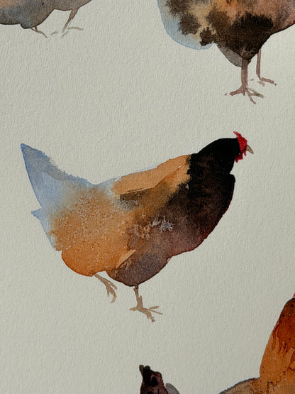 Many colourful chickens