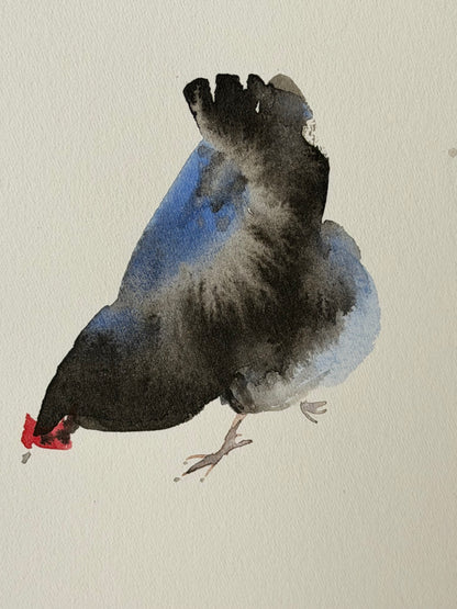 Many colourful chickens