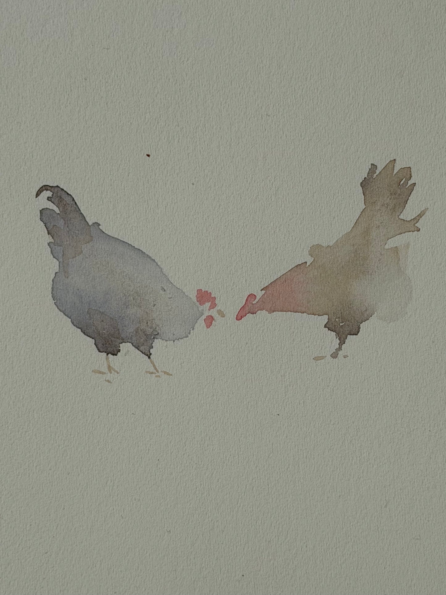 Many colourful chickens