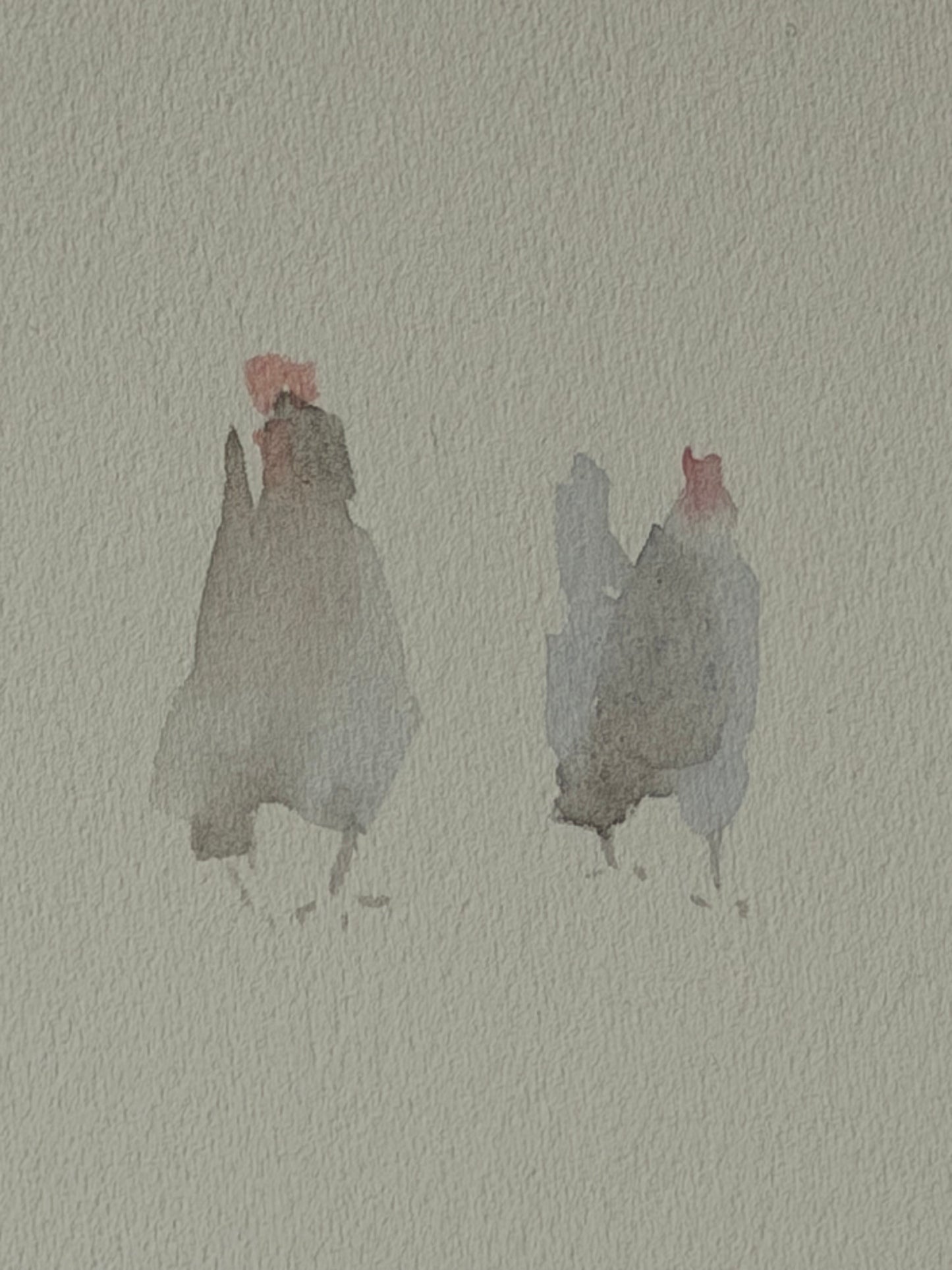 Many colourful chickens