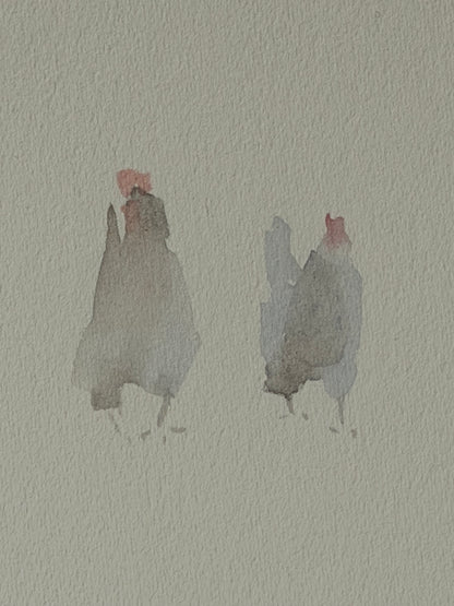 Many colourful chickens