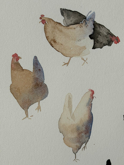 Many colourful chickens