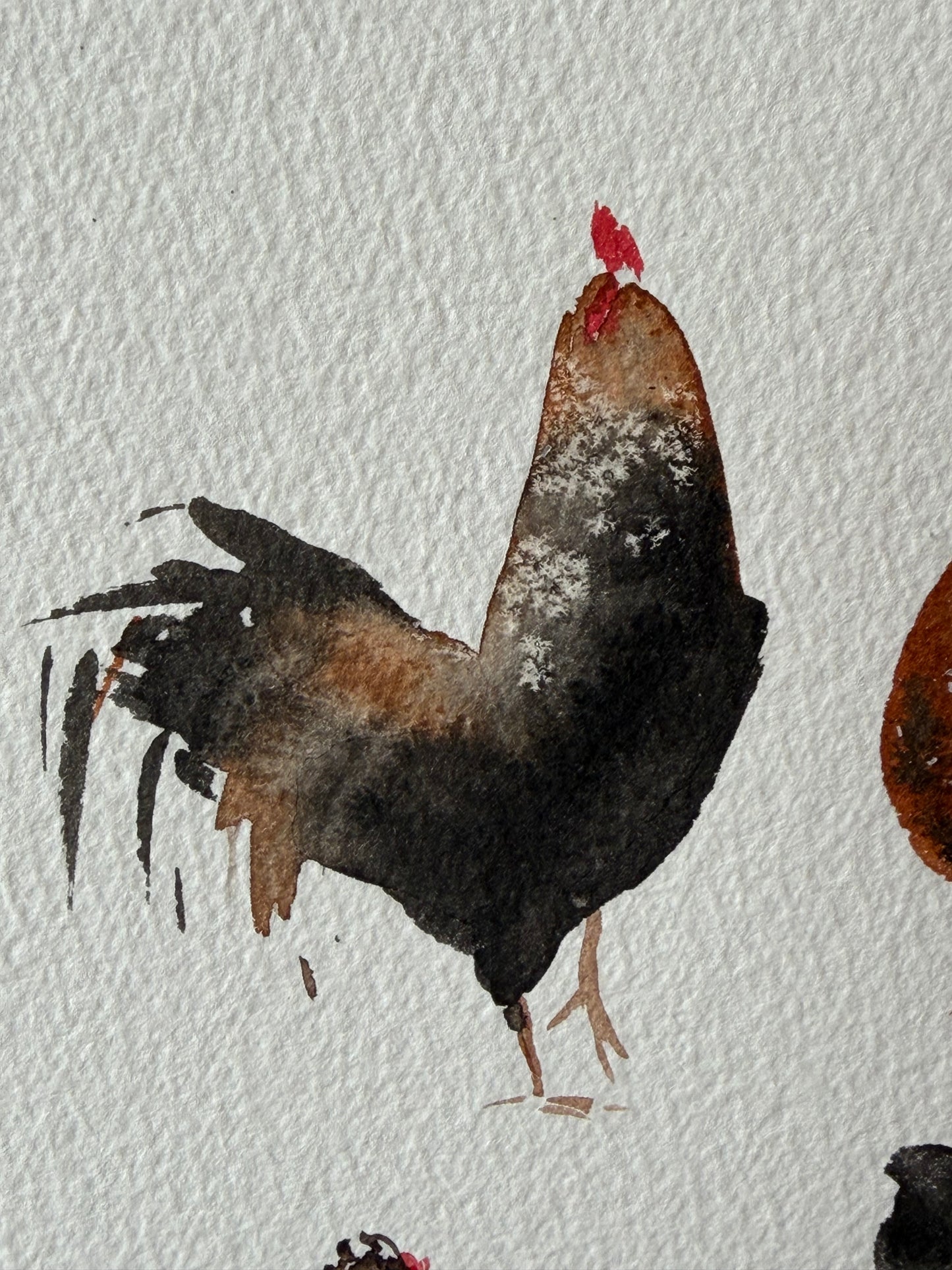 Backyard Chickens Club
