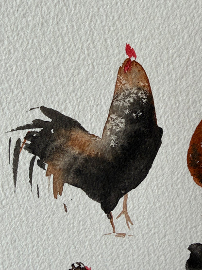 Backyard Chickens Club