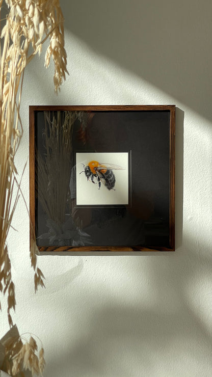 Clever Carpenter Bee