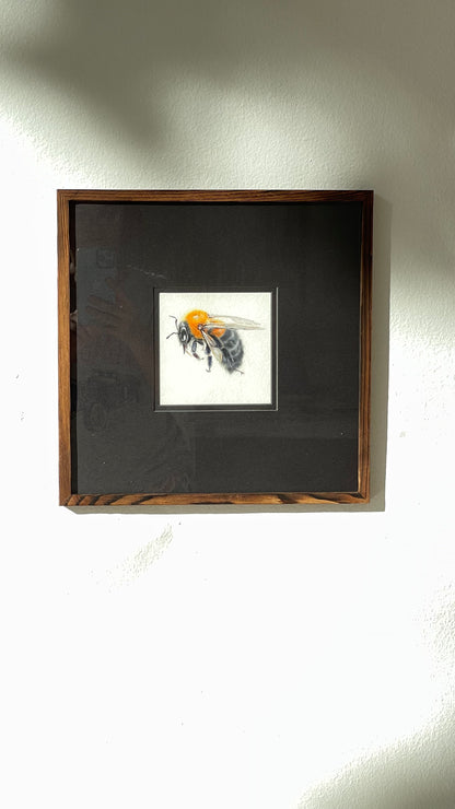 Clever Carpenter Bee
