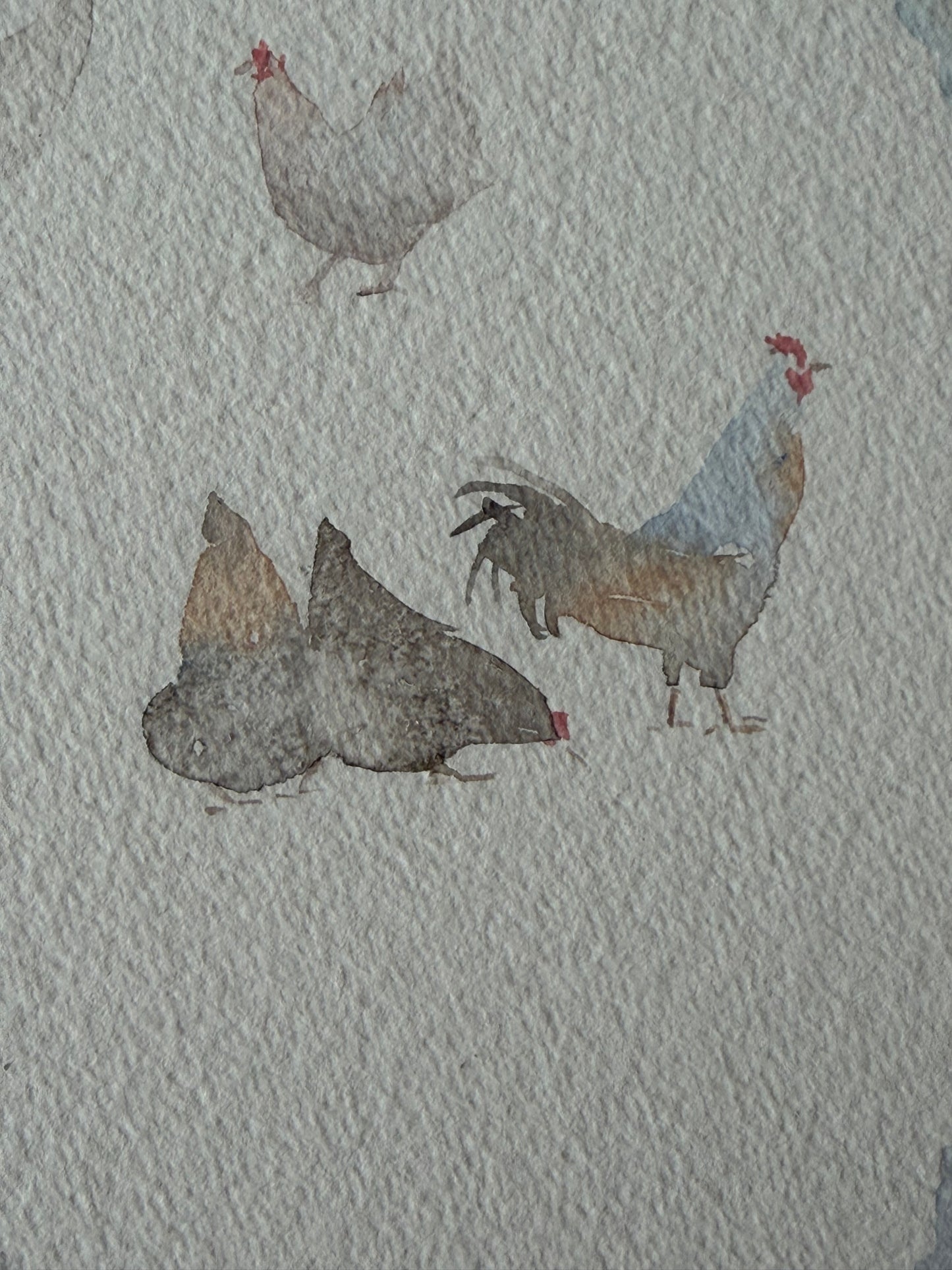 Backyard Chickens Club