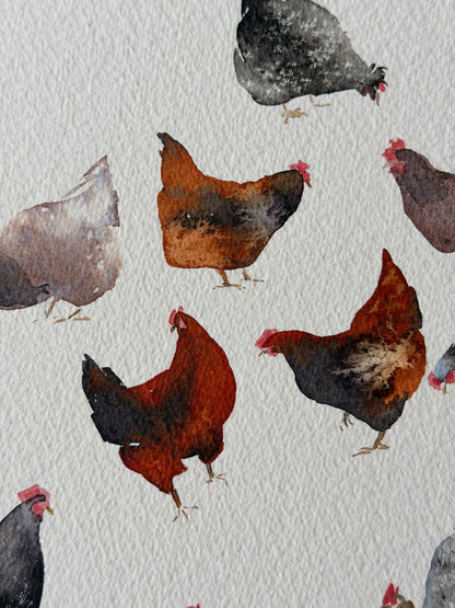 Backyard Chickens Club