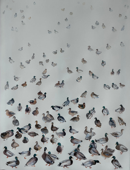 Bridge to the Countryside: Ducks