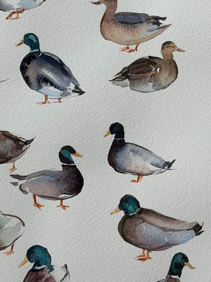Bridge to the Countryside: Ducks