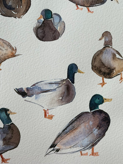 Bridge to the Countryside: Ducks