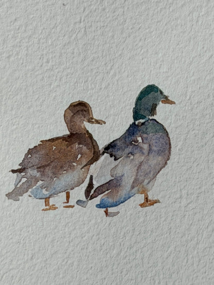Bridge to the Countryside: Ducks