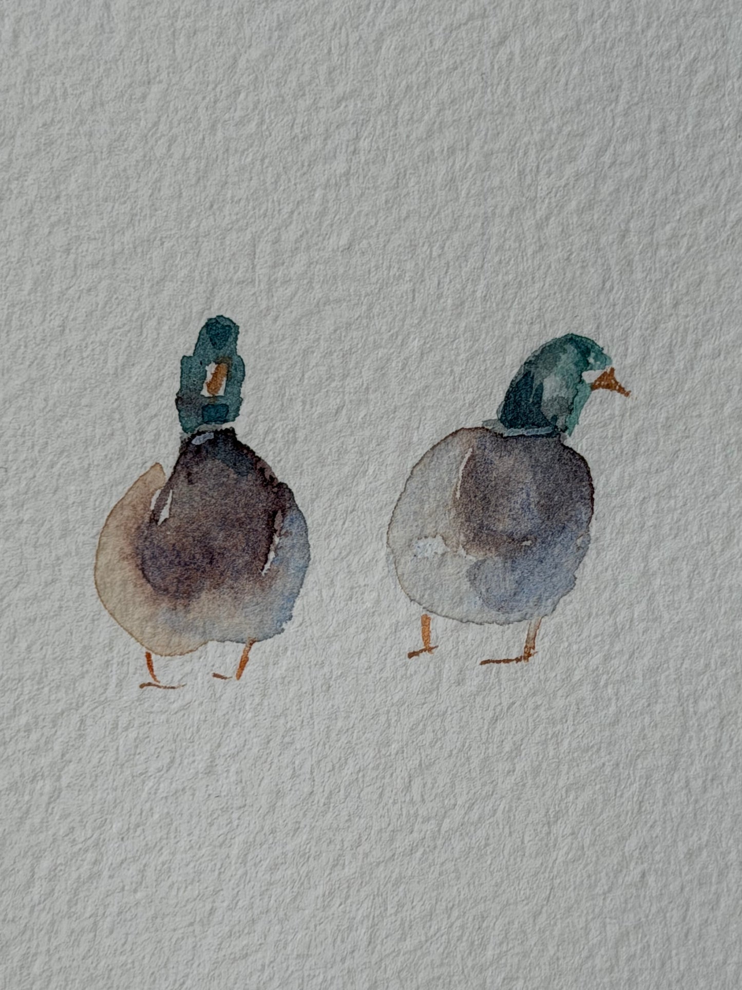 Bridge to the Countryside: Ducks