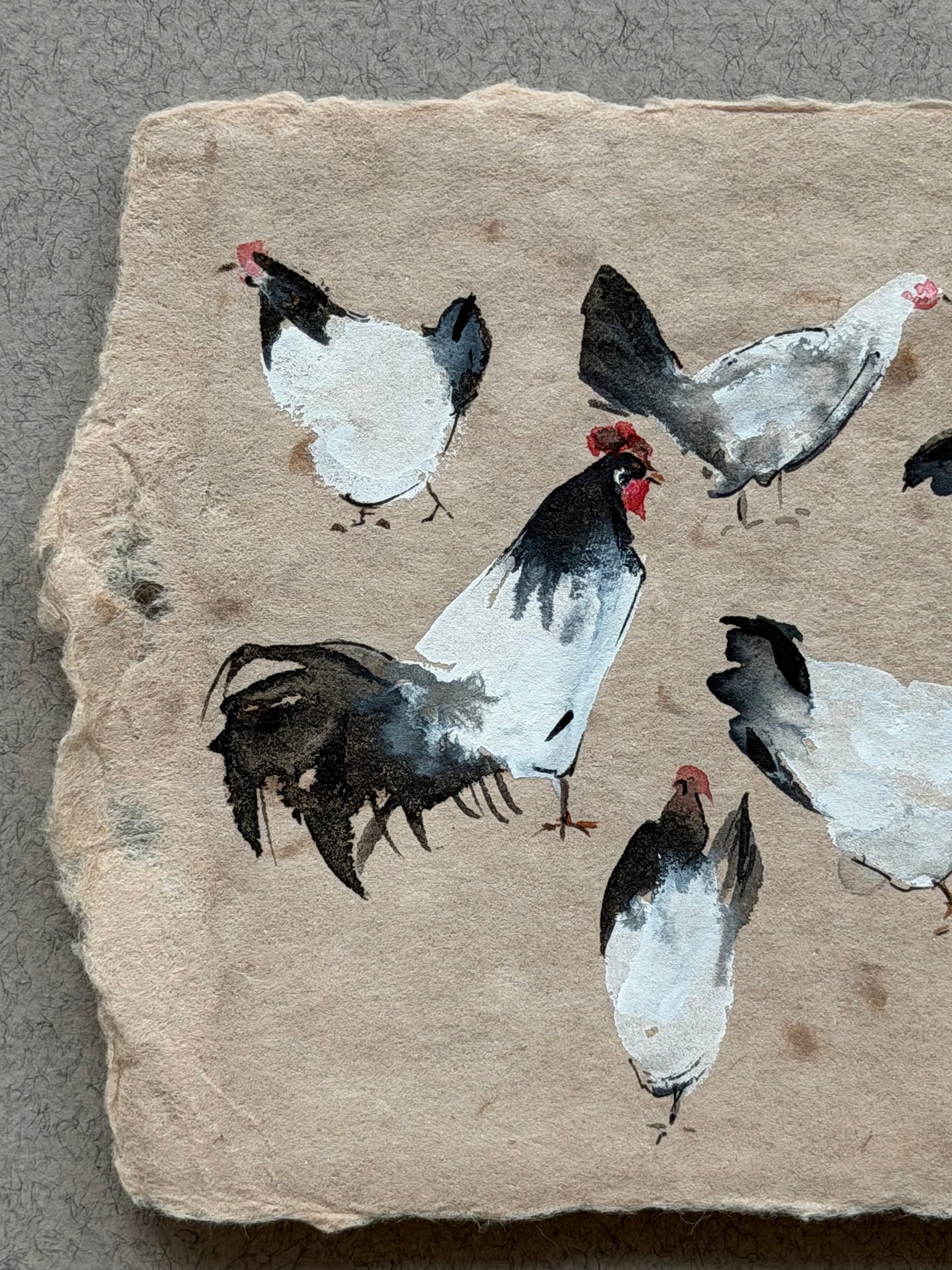 Light and Shadow: Chickens