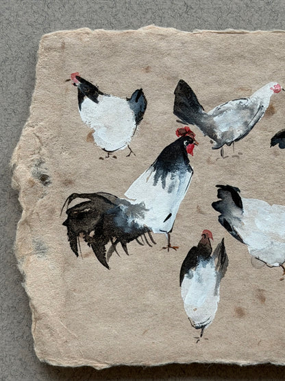 Light and Shadow: Chickens