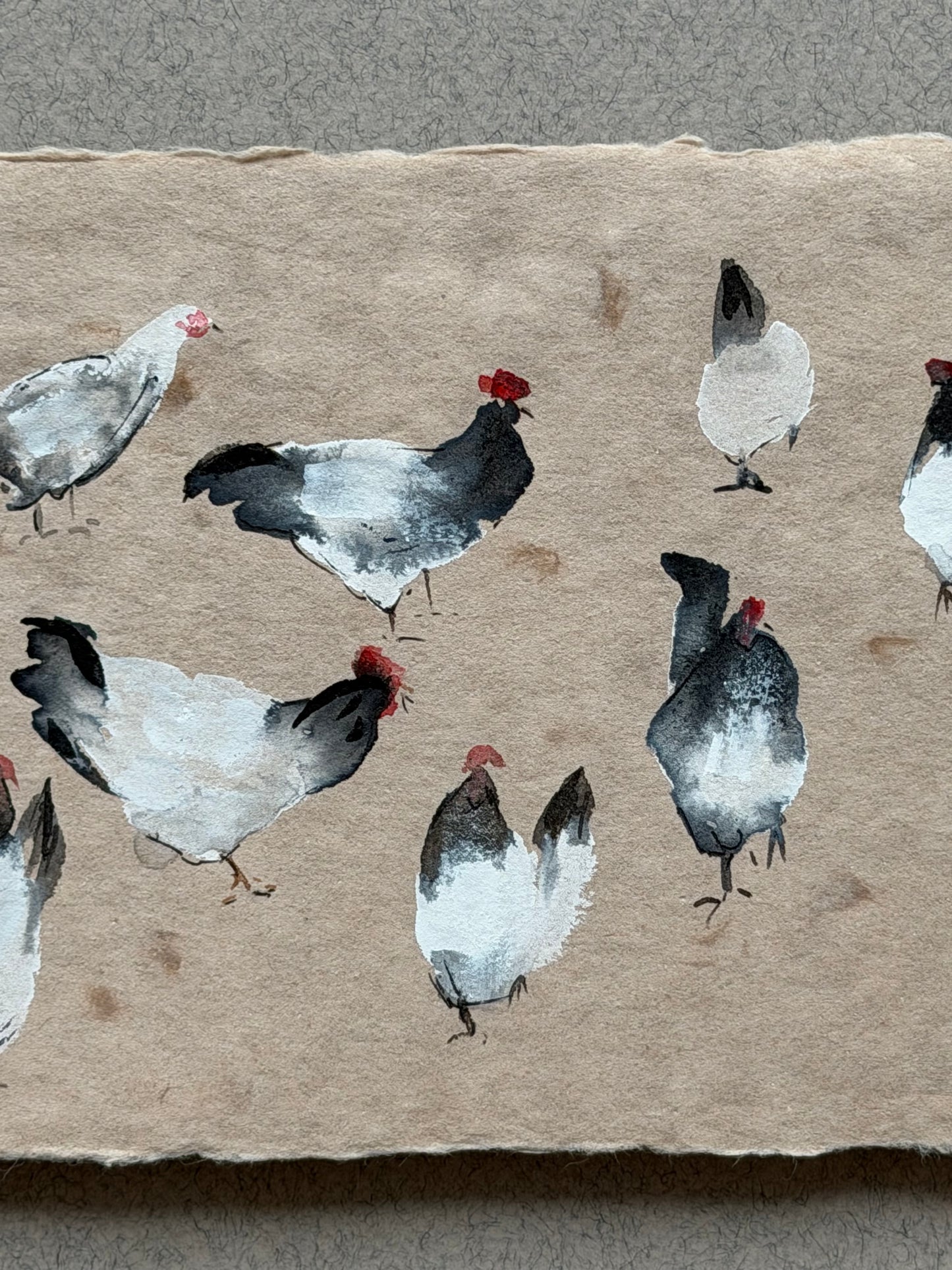 Light and Shadow: Chickens