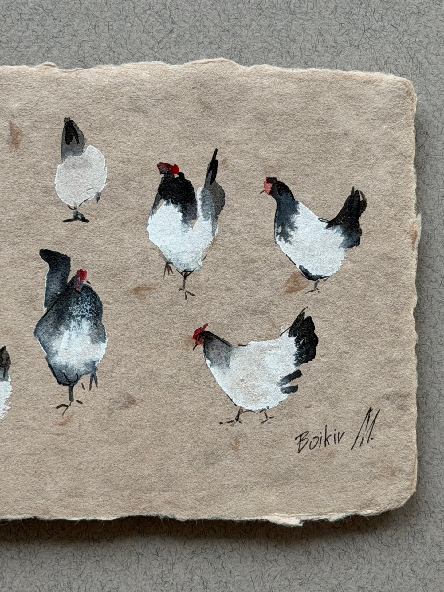 Light and Shadow: Chickens