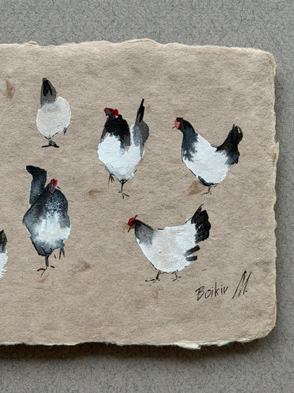 Light and Shadow: Chickens