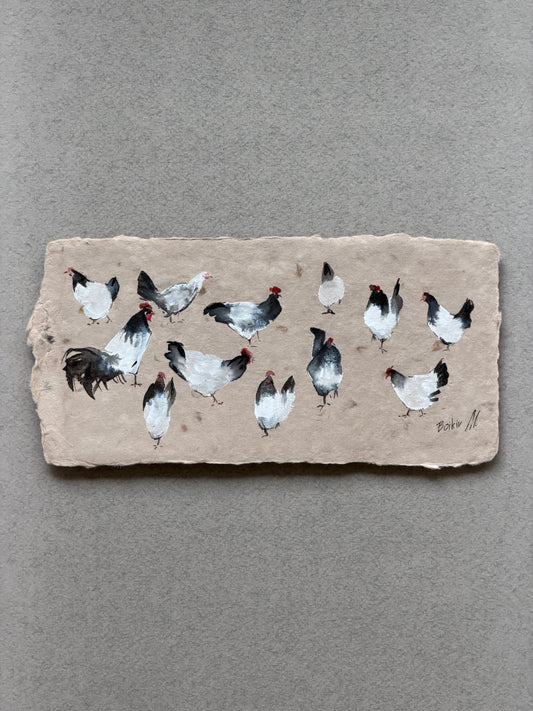 Light and Shadow: Chickens